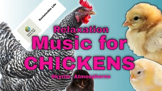 Calming Music for Chickens - Skyrim Atmospheres