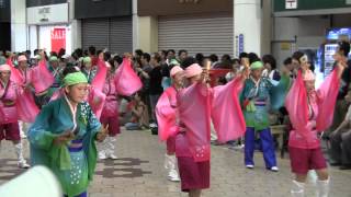 2012 高知よさこい祭り 本祭2日目 桜(高知中央高等学校)　帯屋町演舞場