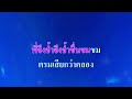 ♬แสนแสบ ชรินทร์ นันทนาคร คาราโอเกะ karaoke