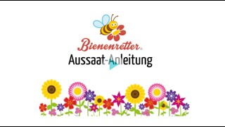 Aussaat-Anleitung für bienenfreundliche Blühmischungen