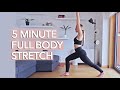 The Full Body Stretch (5 Min)