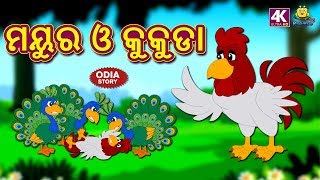 ମୟୁର ଓ କୁକୁଡା - Peacock and The Cock | Odia Story for Children | Fairy Tales in Odia | Koo Koo TV