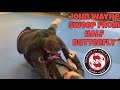 John Wayne Sweep from Half Butterfly in BJJ