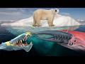Could Polar Bears Survive Subnautica: Below Zero? - Treading on Thin Ice
