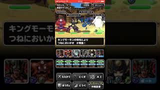 DQMSL 無音 冒険王の旅路Lv7クリア