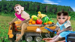 Baby Monkey bi bon take a fruits in the bathroom Dog Amee stuck animal revolt duckling