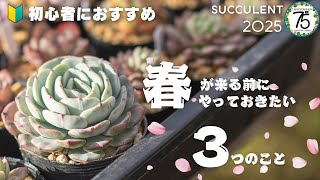 [Succulents] Recommended for beginners! Three things you should do now!