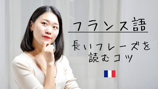 単語は分かってるのに読めない😭長いフレーズを理解する方法【フランス語初心者向け】