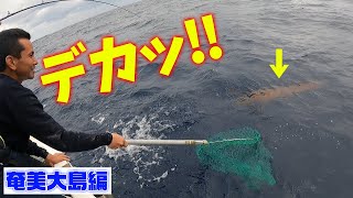 【本編】普段釣れない魚が爆釣してジグにあり得ない巨大な生物が食いついた‼