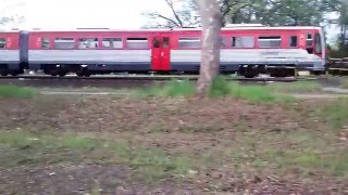 Bpmot-009 in 37123, Kecskemét-Vadaspark