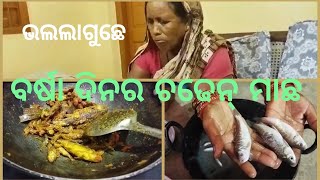 ଆମର ରୁପା ଖେତରେ ମାଛ ଧରଲୁ !!  ଗାଉଁଲି ଷ୍ଟାଇଲ ରେ ଆମ୍ ଚୁର ମାଛ ଝୋଲ।। surativlog !! daily vlog !!