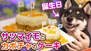 【犬用ケーキ】簡単!我が家のカボチャとさつまいものケーキ 作り方【柴犬】