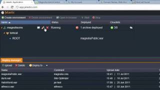 Custom Domain Name for Hosted Java - Jelastic Tutorial 3