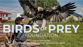 Alberta Birds of Prey Foundation