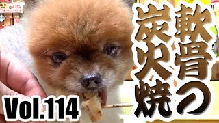 ビームのお散歩日記Vol.114：ナンコツ最高！／ポメラニアン