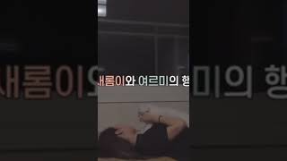 🌟프로미스나인🌟 여르미가 있어 찐행복한 롬쌔