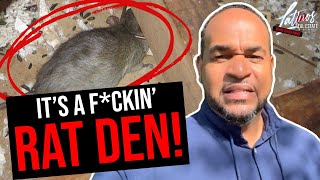 I Accidentally Bought a RAT DEN in Scranton!
