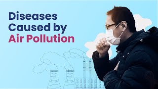 Diseases Caused by Air Pollution | Health Effects of Air Pollution | MFine