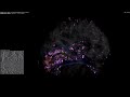 4k digicortex simulation 16 million neurons 3.7 billion synapses visual system