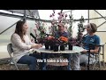 Ozark Garden Talk – Episode 15: Creating a Resilient Landscape