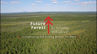 Future Forest Economy Initiative