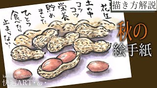 【解説】🥜秋の絵手紙『落花生』9月・10月・11月　簡単リアルな絵の描き方解説