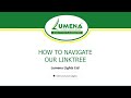 Lumena Lights - How to navigate our LinkTree