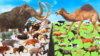 Prehistoric Animals Epic Battle Wild Animals Vs Domestic Animals Animal Revolt B