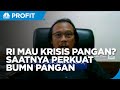 Tangkal Krisis Pangan, Saatnya Perkuat  Peran BUMN Pangan