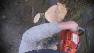 Large Ash Dismantle