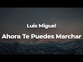 Luis Miguel - Ahora Te Puedes Marchar (Letra/Lyrics) | Official Music Video