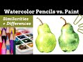 Watercolor Pencils vs Watercolor Paint