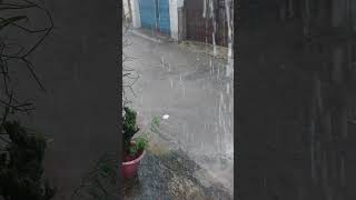 Tiếng ồn trắng, tiếng mưa rơi âm thanh tự nhiên nghe dễ ngủ
