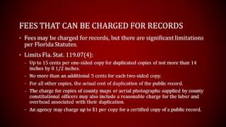 How to Make Florida Public Records Requests under the Sunshine Law - Florida Rights Institute