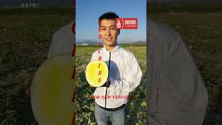 Farm Fresh Ninja Fruit Tik Tok China EP 6