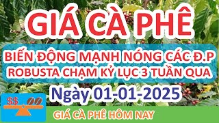 Giá cà phê hôm nay ngày 01/01/2025 | Giá Cà Phê Biến Động Mạnh Nóng Các Địa Phương