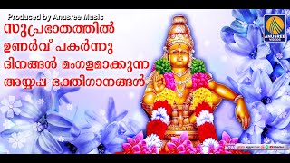 ഭക്തരുടെ സങ്കടം തീർക്കുന്ന അയ്യപ്പഭക്തിഗാനങ്ങൾ | Ayyappa Devotional Songs Malayalam |