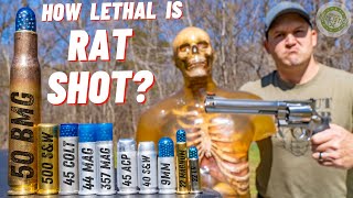 How Lethal Is Rat Shot ??? 🐀