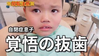 【閲覧注意】苦手な歯医者で揺れていない乳歯を抜歯！覚悟を決めた自閉症息子７歳！