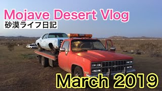 アメリカ砂漠生活/Mojave Desert Vlog March 2019