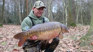 Sharpy Gives An Expert Insight Into The Hinged Stiff Rig