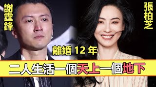 謝霆鋒讓人可憐，張柏芝卻人生開掛，離婚12年，兩人生活差距越來越大，看完讓人唏噓。【娱与舆】#张柏芝#谢霆锋#王菲