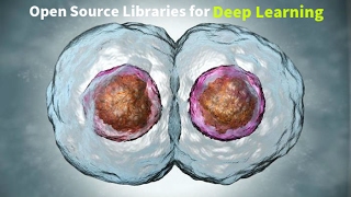 Day #2 - Open Source Python Libraries for Deep Learning