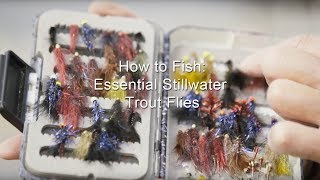 How to Fish: Essential Stillwater Trout Flies | GoFishBC