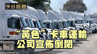 “黃色”卡車運輸公司宣佈倒閉 | 今日話題 8/8/2023