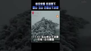 【生活】雪山、玉山、合歡山下冰霰 追雪民眾樂翻了！