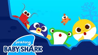 ⚓️The Brave Little Pirates | Baby Shark Brooklyn Animation Song | Baby Shark Official