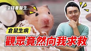 【鼠鼠告訴你】觀眾竟然向我求救?! 養倉鼠要花多少錢?【維特】#11