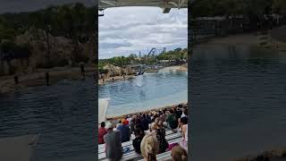 Seaworld Qld November 2024