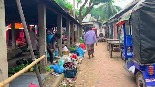 গ্রাম বাংলা || ধামতী গ্রাম || দেবিদ্বার || কুমিল্লা || Village Bangla || Dhamati village || Devidwar